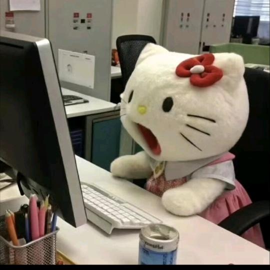 猫  也.头像