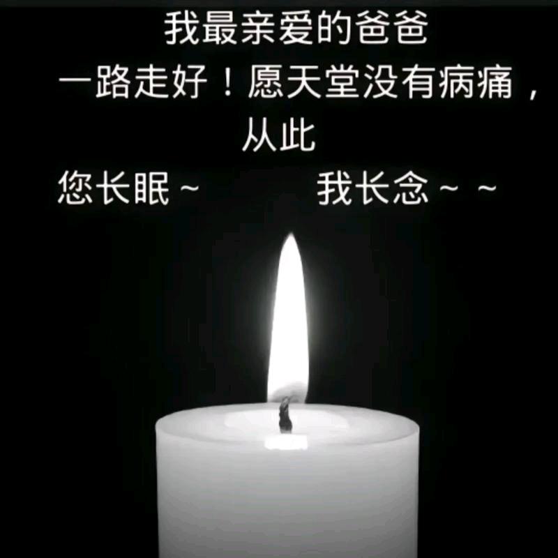 →_→坚持→_→不谢