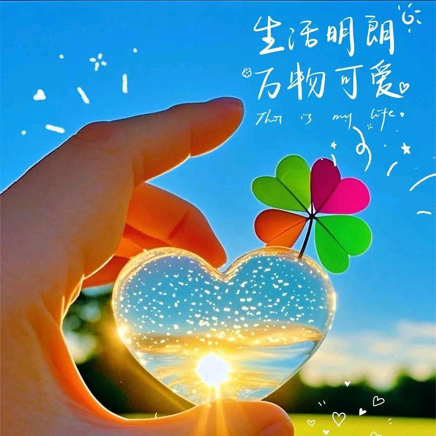 🍃ོ🍹🌊ོ ꧁꫞♥Lyra♥⛄