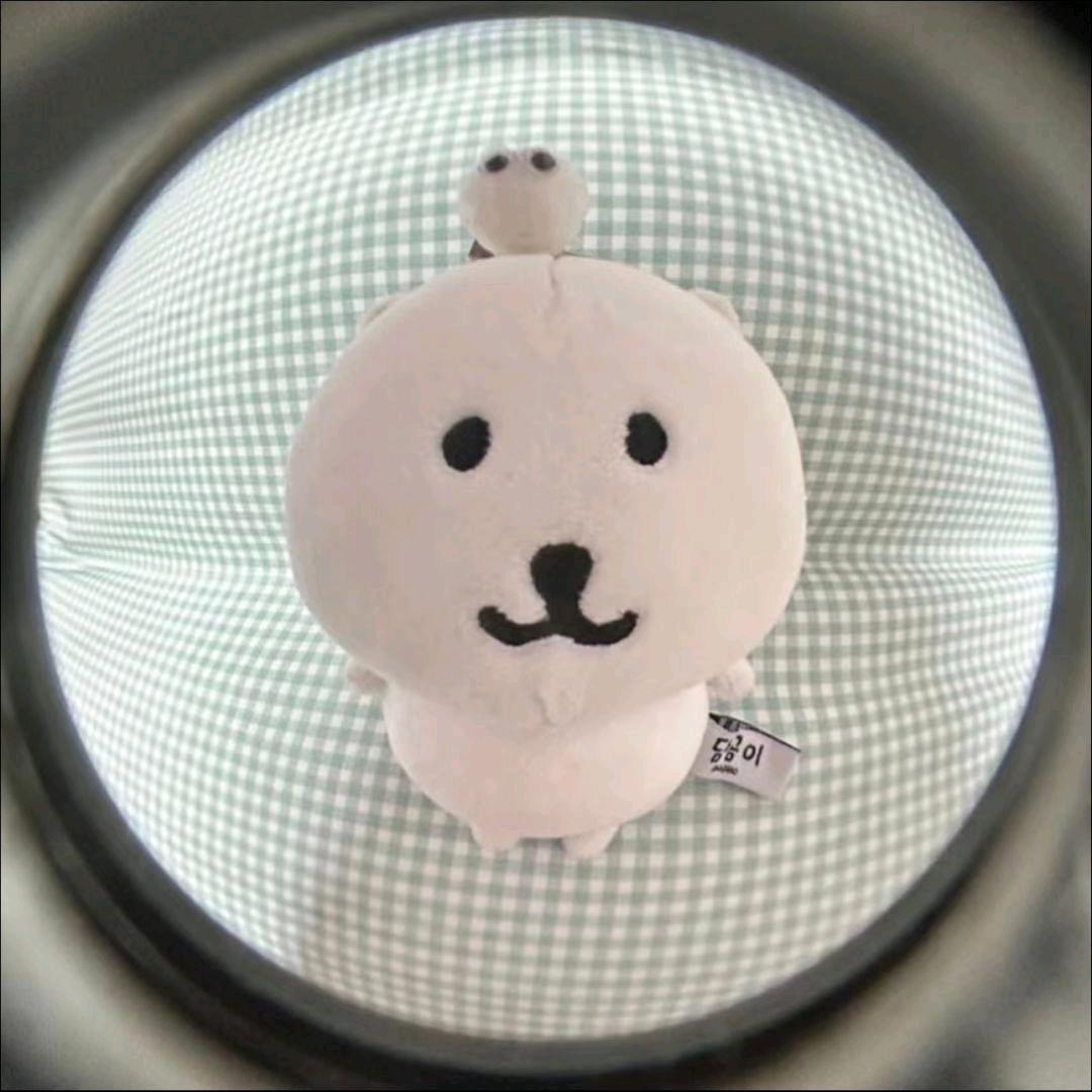 阴暗鼠鼠