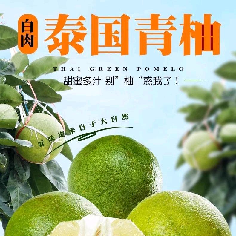 一口就爱上的酸甜