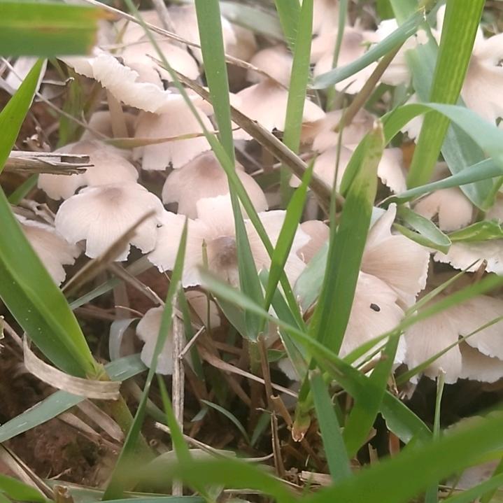 建达