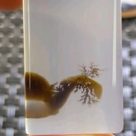 石缘（陨石，奇石）