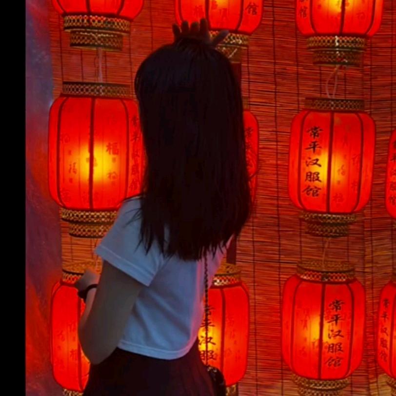 笨笨兔