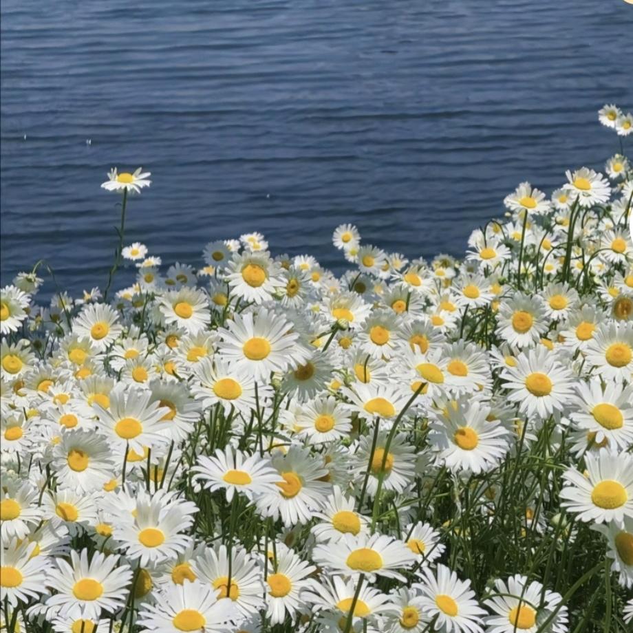 我的人生没有如果