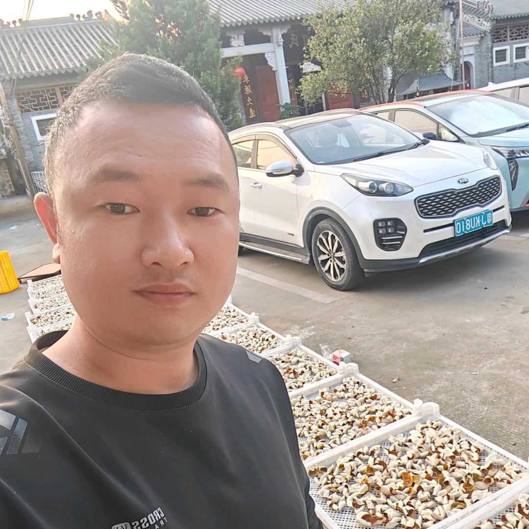 啊明新会陈皮