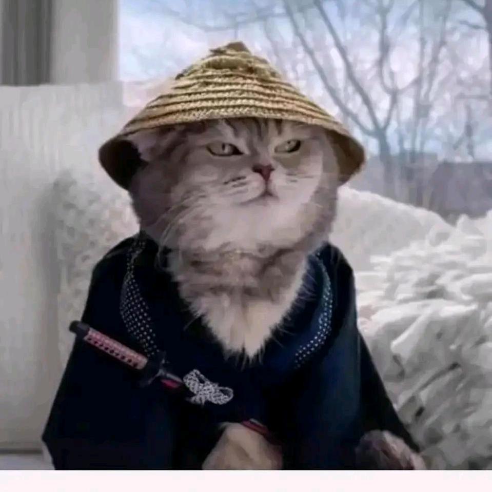 太阳照常升起