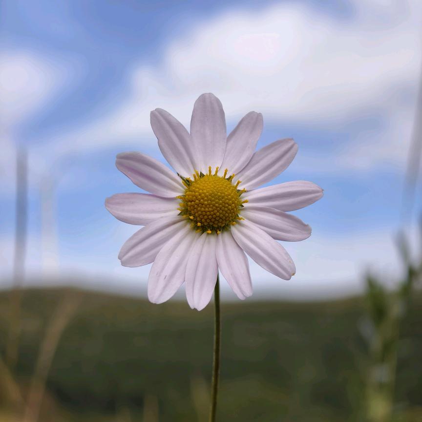 把自己还给自己