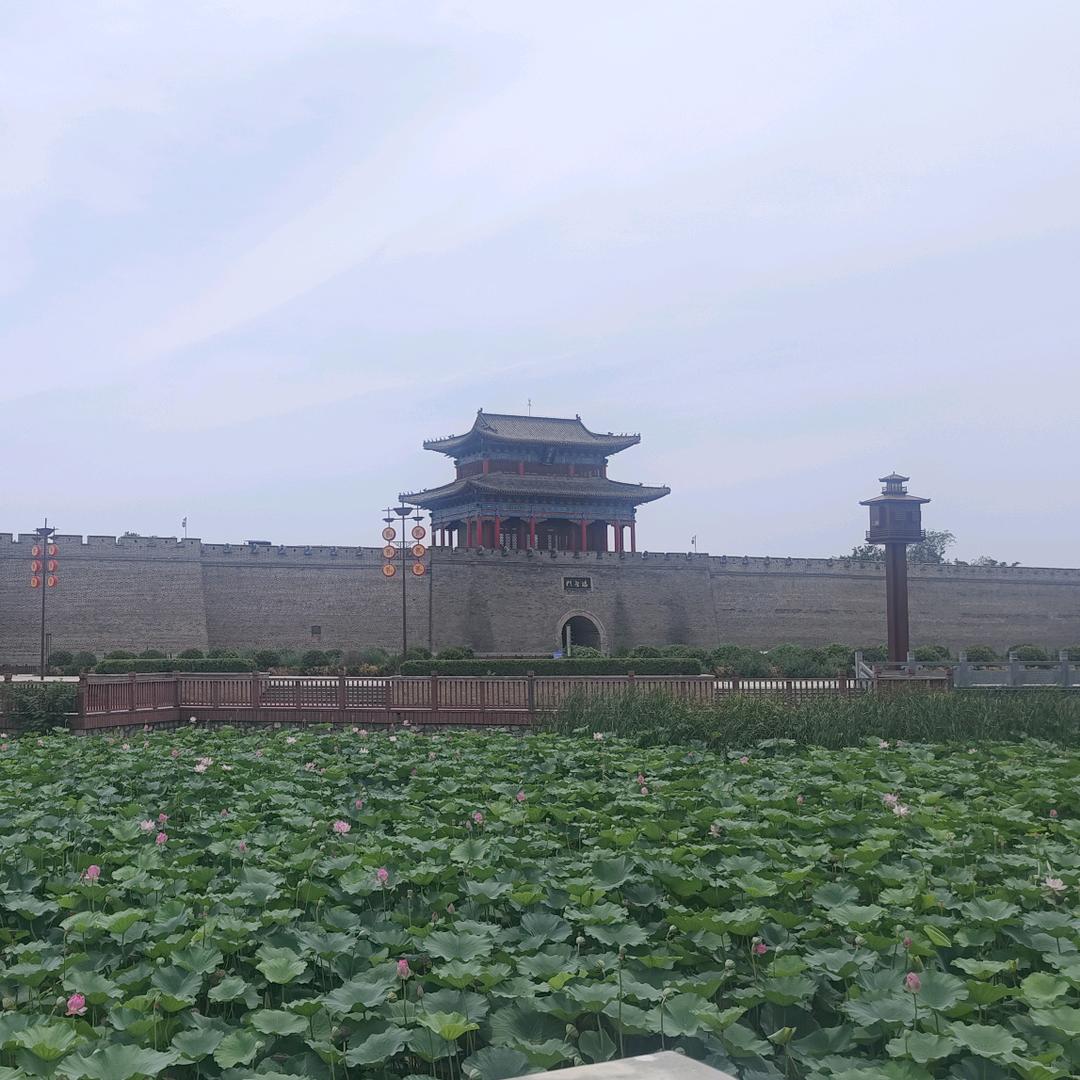焦家优品馆