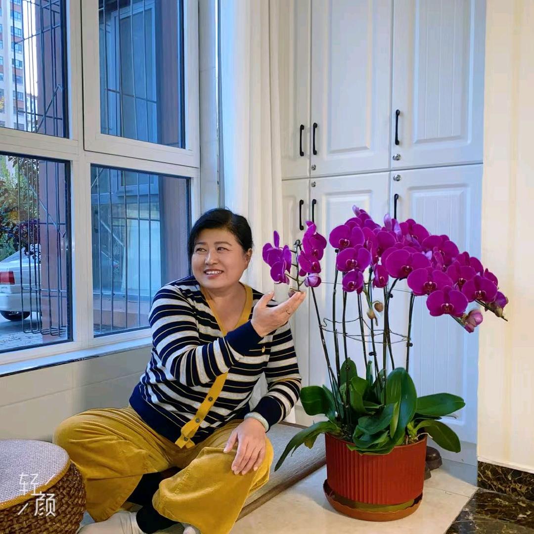 鱼的眼泪在海心里（利丰农资）