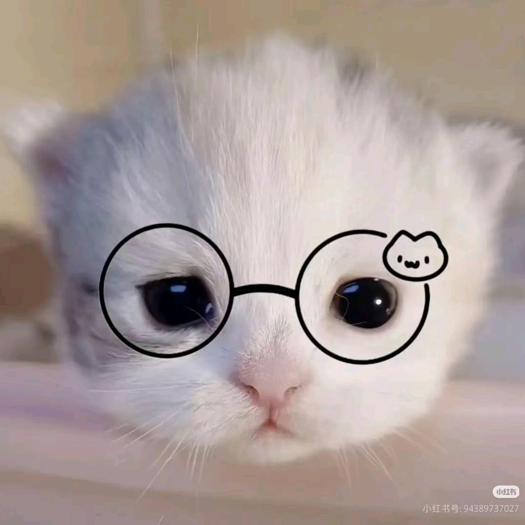 ᨼ ᩚ˶᳐小咩想看一點海˶᳐੭ﾞ