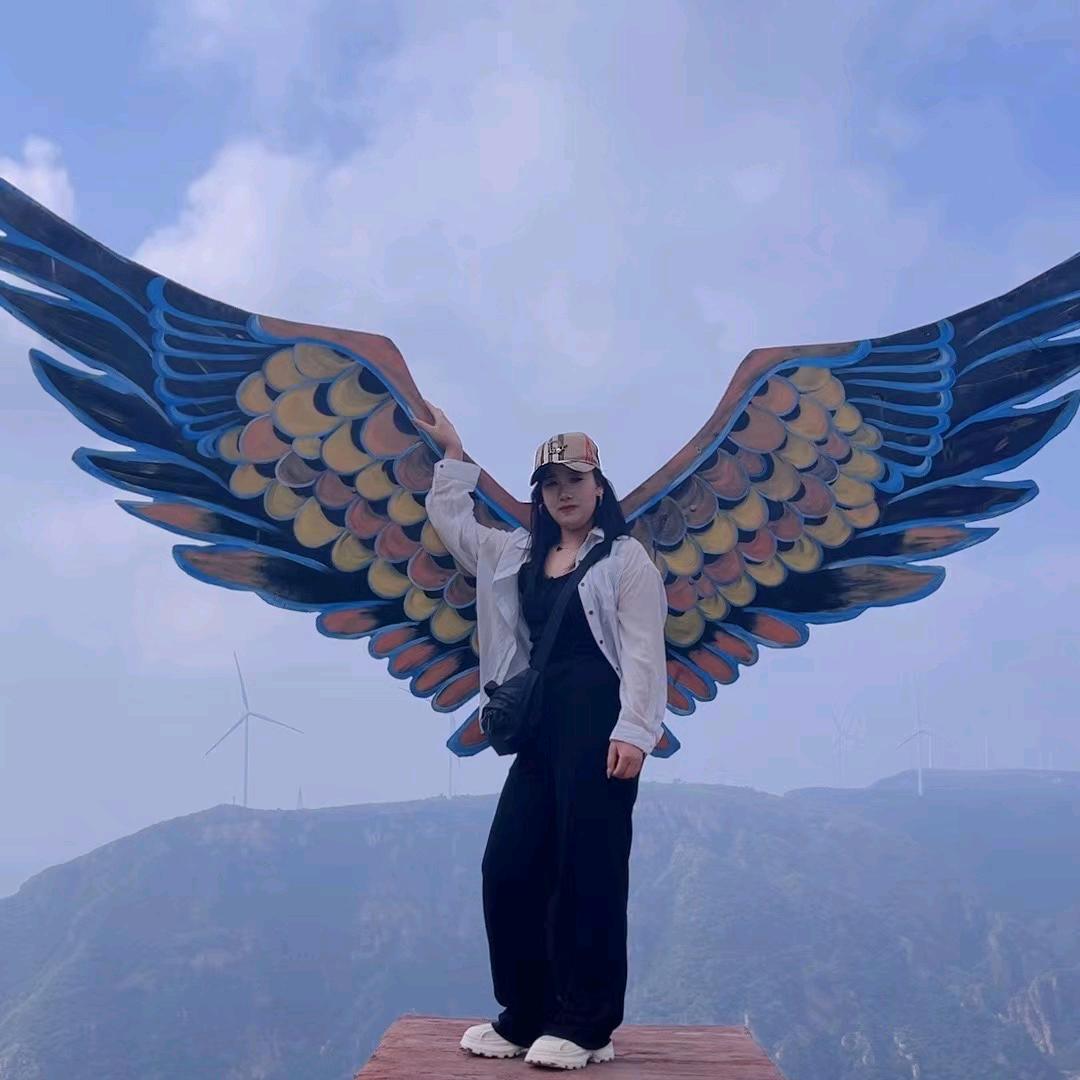 小马的日常生活