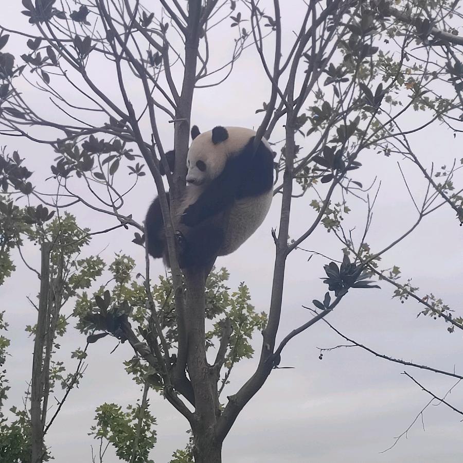 川易美家（有关必回）