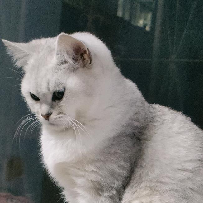 氼乚㕾㐓㤅