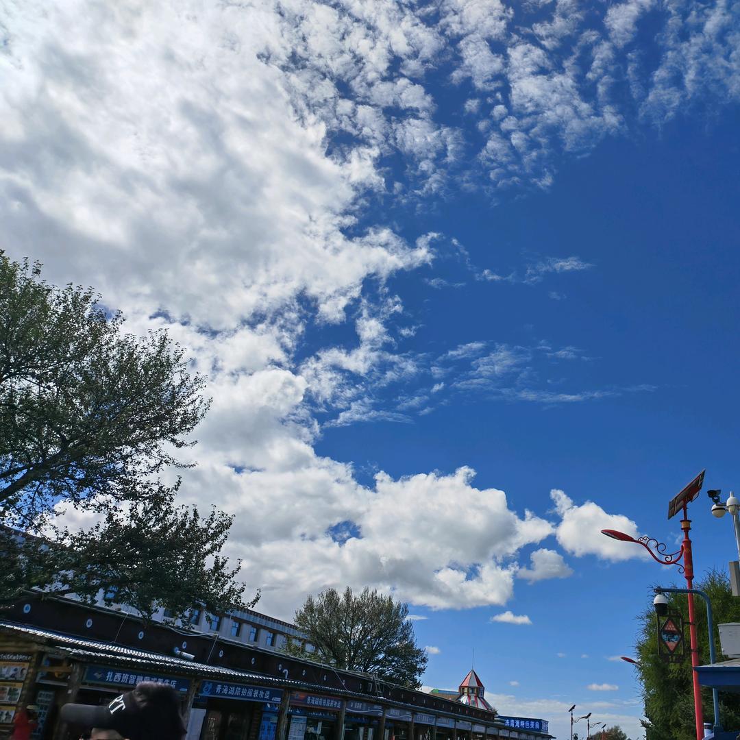 ☀️白衣百顺☀️