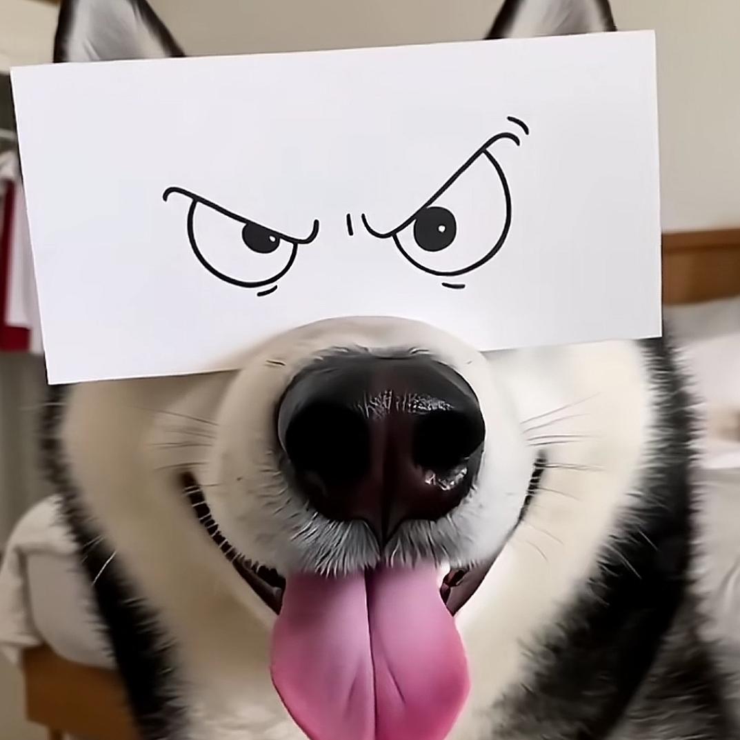 对方正在输入……