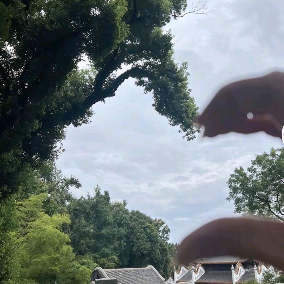 山川系在裙角