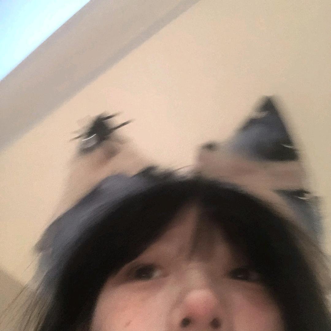 猕猴桃