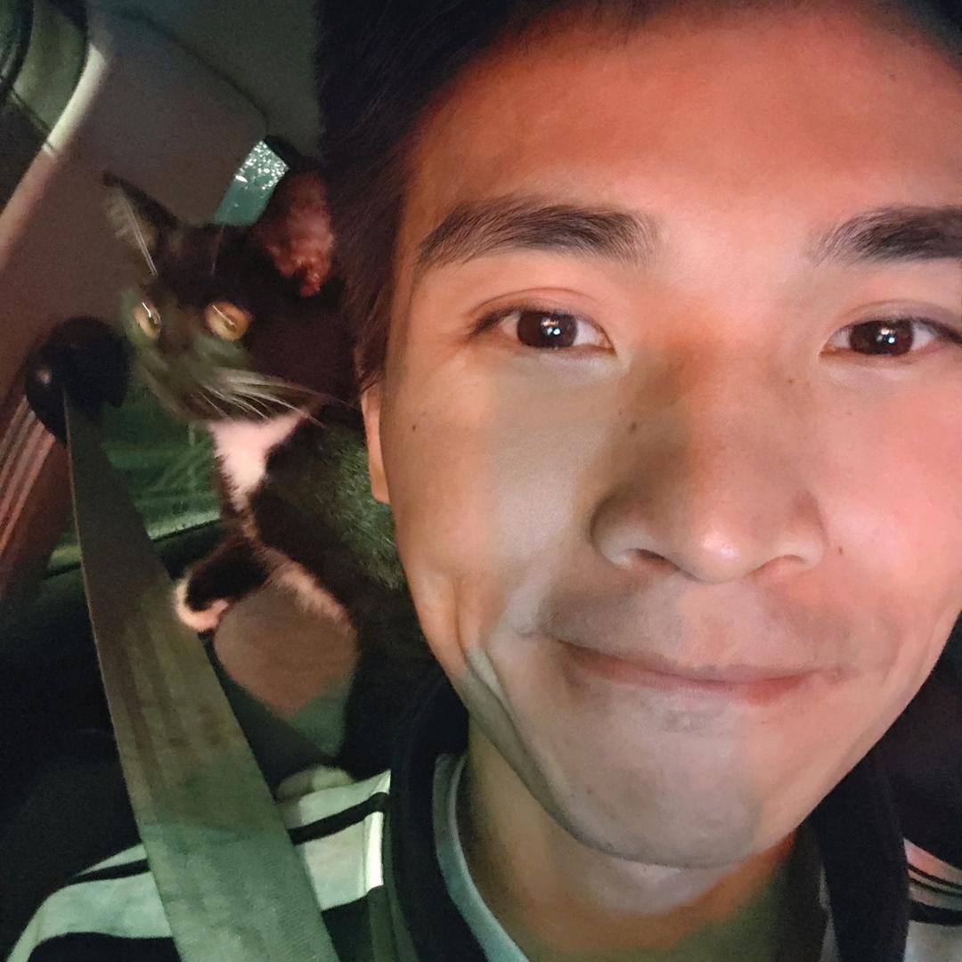 露营轻一.（直播路上捡到猫版）