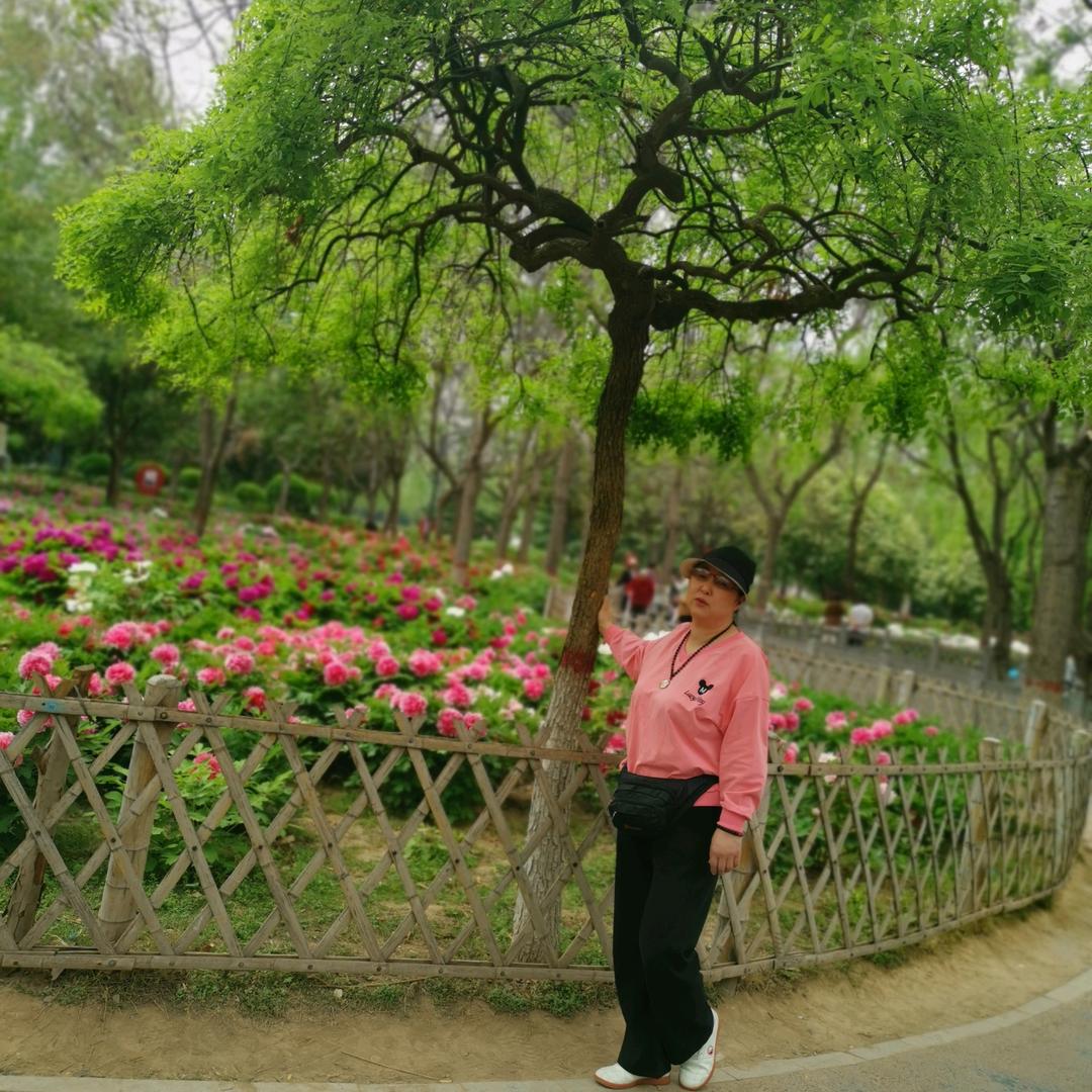 云卷风舒