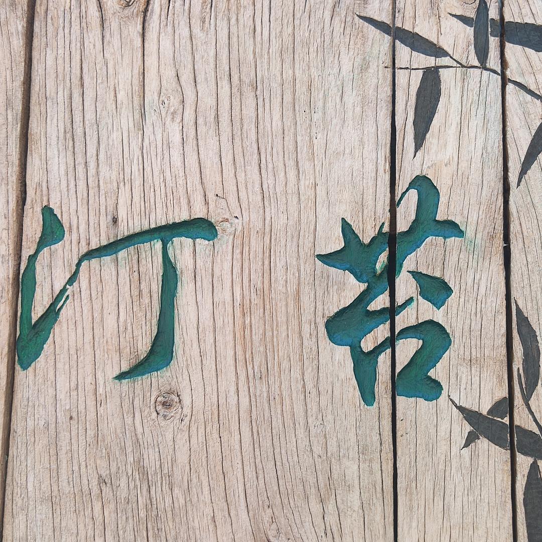 汀苔