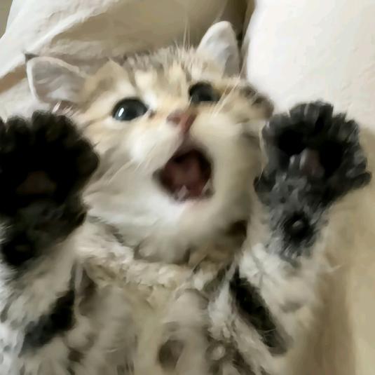 钰眠眠