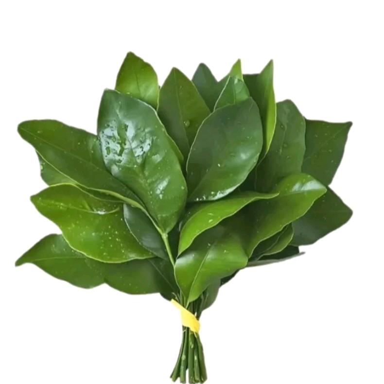 哦啊啊邪恶旺仔小亚头