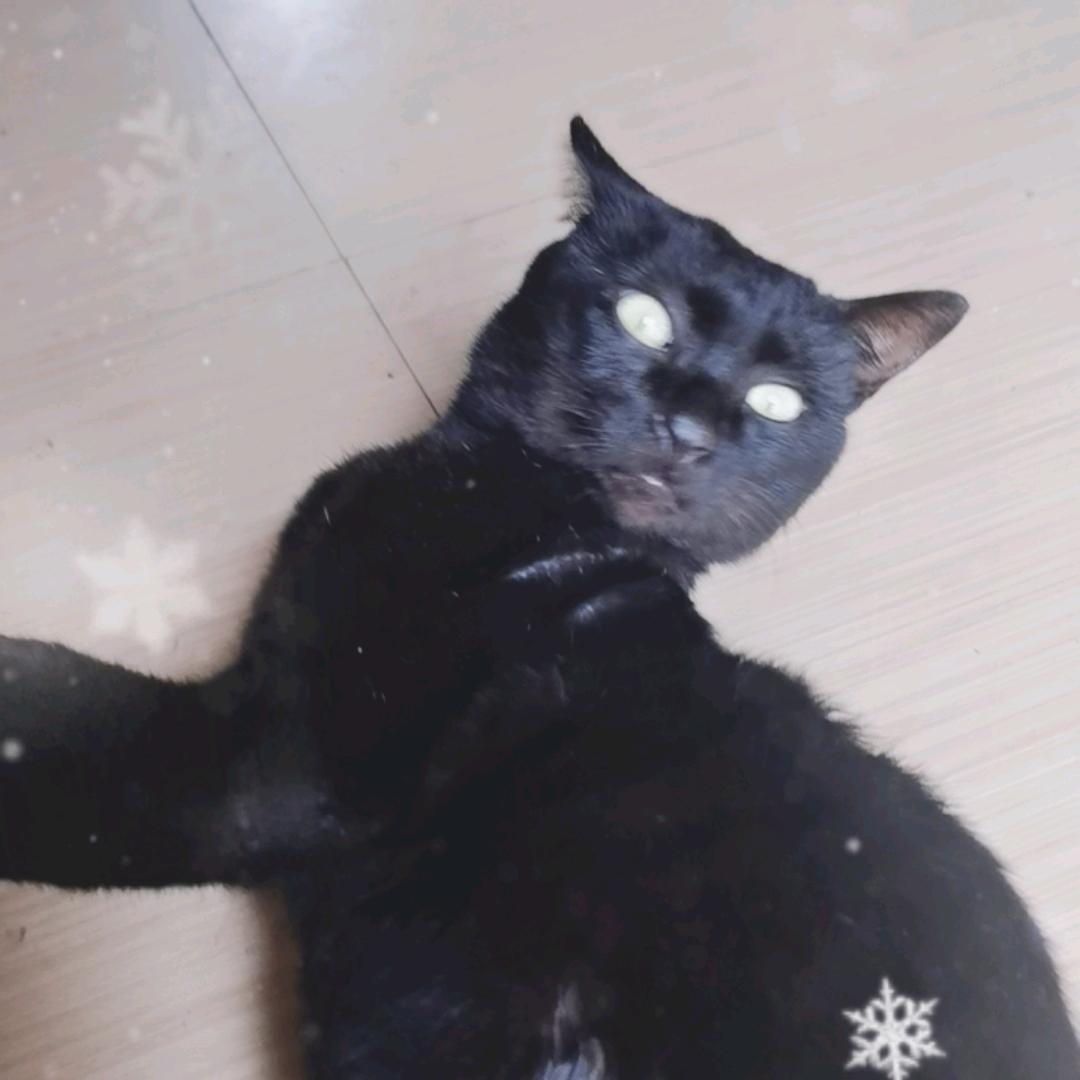 王二姐