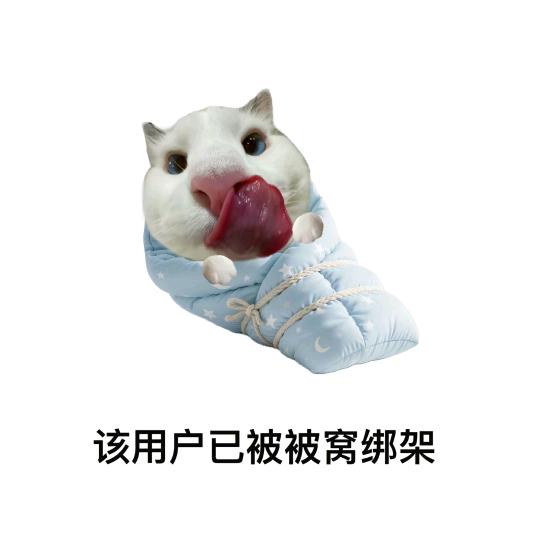 🌈咩猫小兔🍞