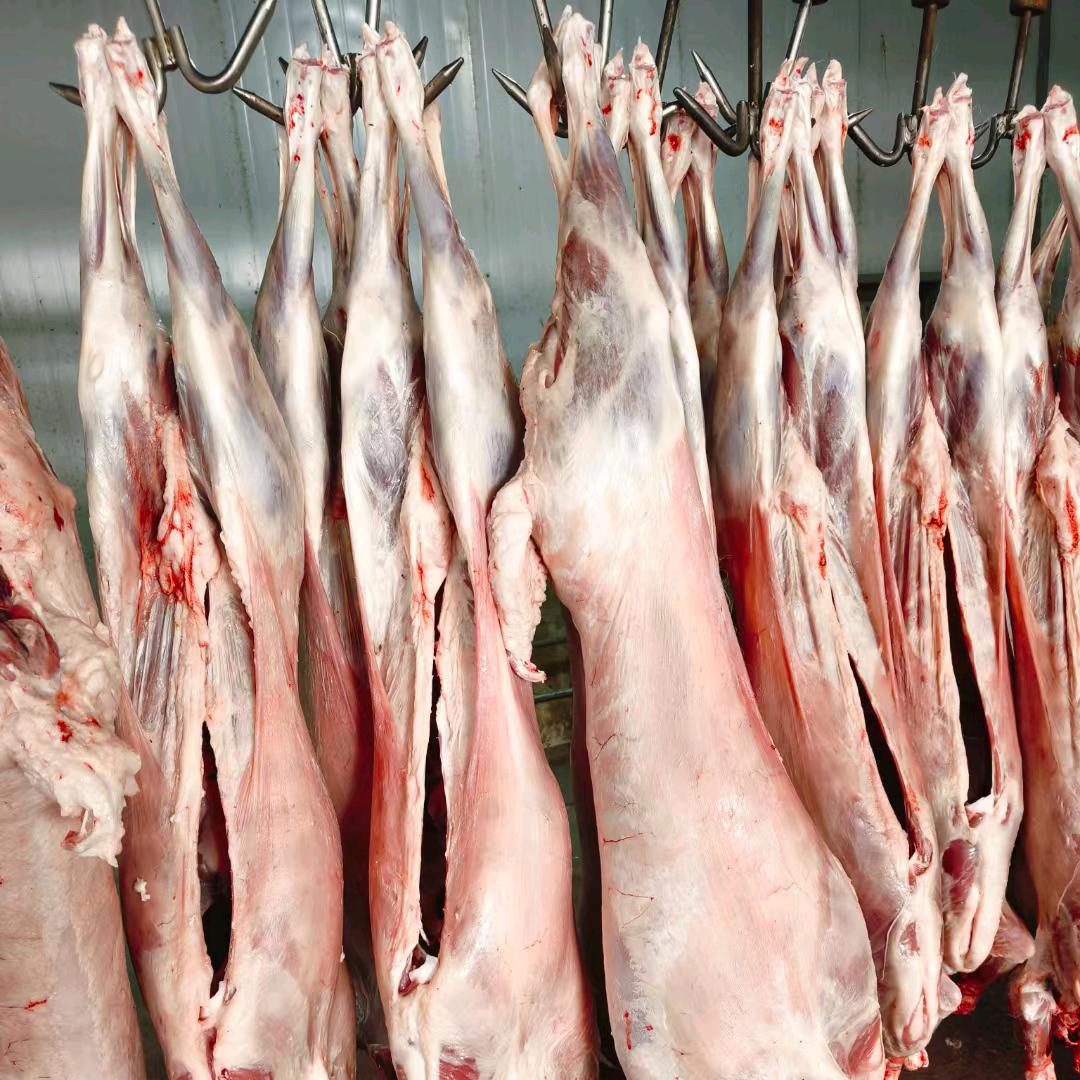 甘肃省排名第一供应链