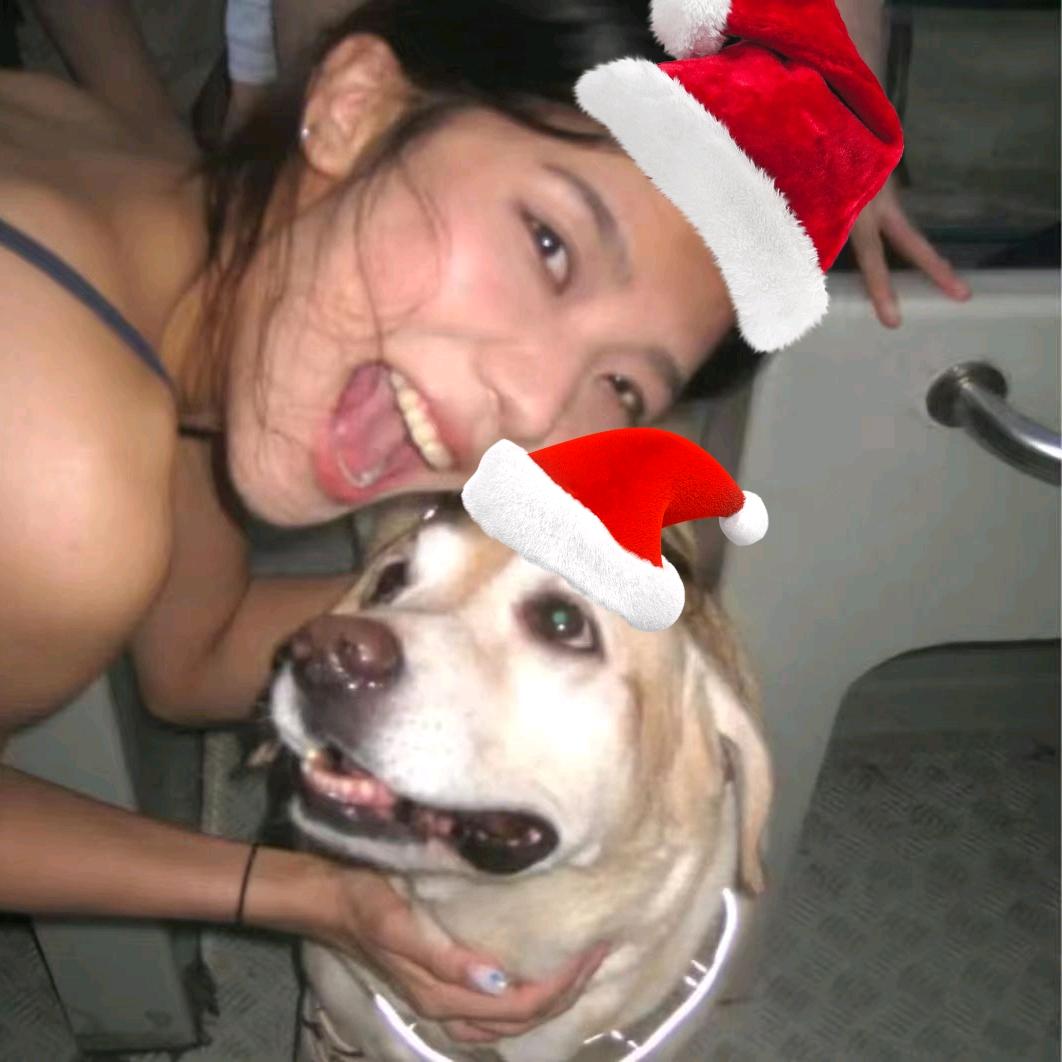 社恐的土豆（登船六次版）