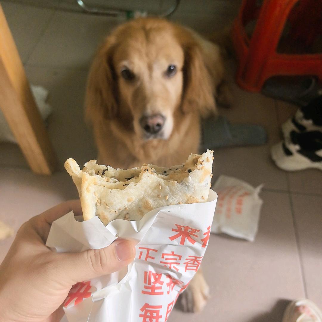 妮儿