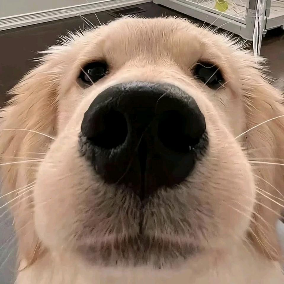 小Li又困ˡᵃ💤