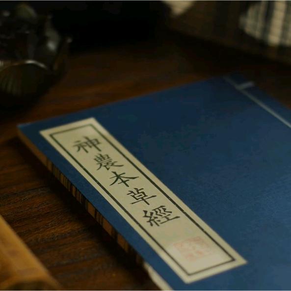 如果本草会说话