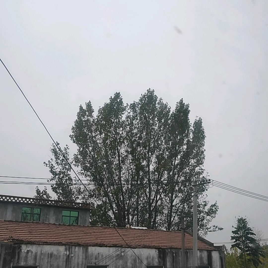 墨墨