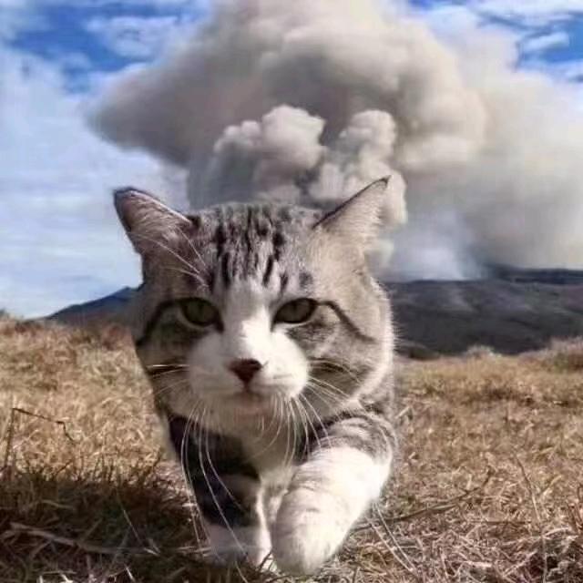 理想就是动力