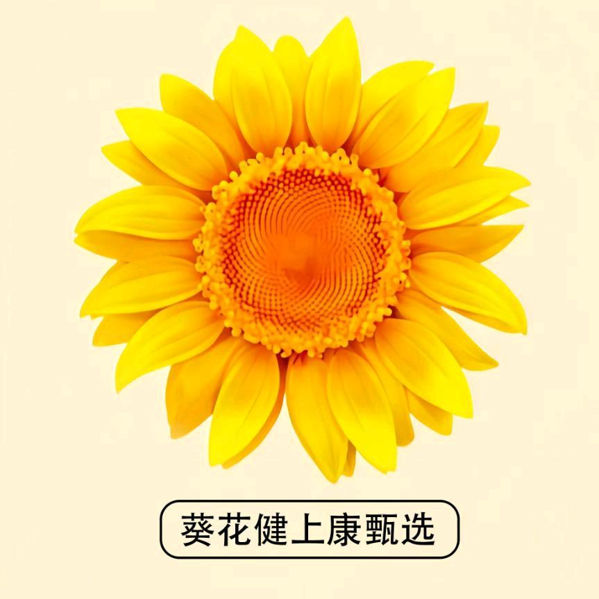 葵花叶黄素护理