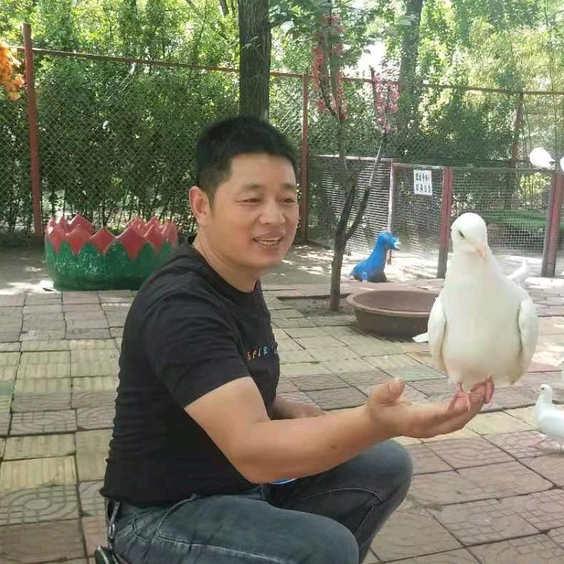 自娱字乐