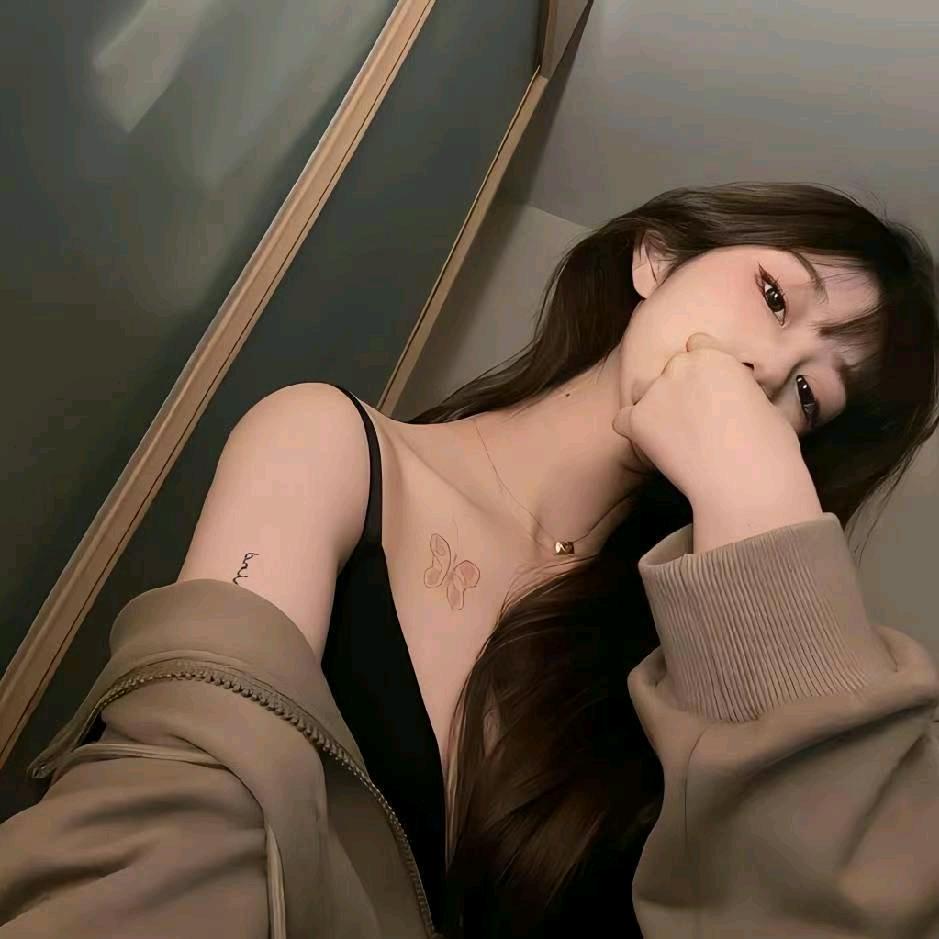 狸狸