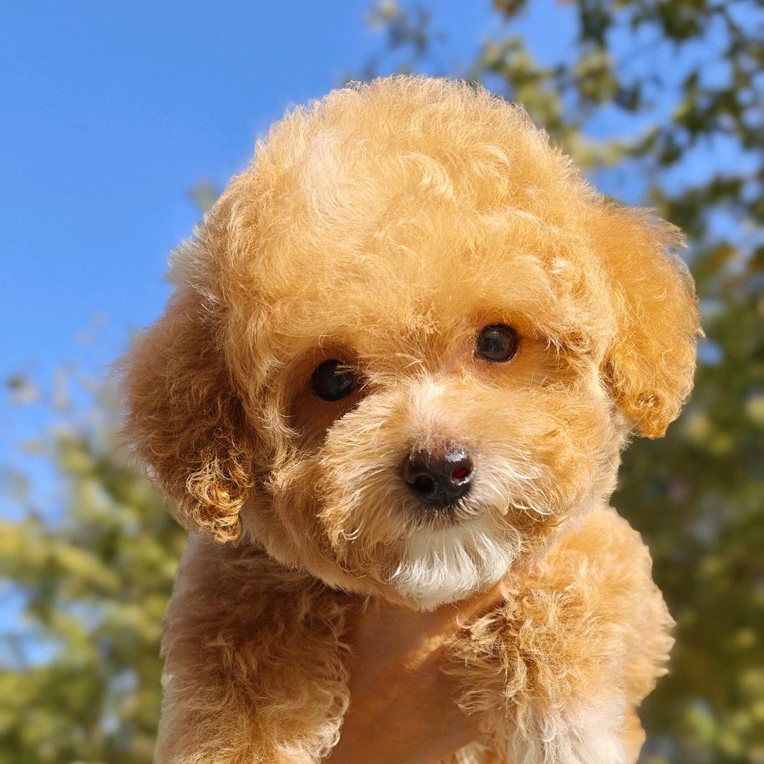 厚德载物🇨🇳