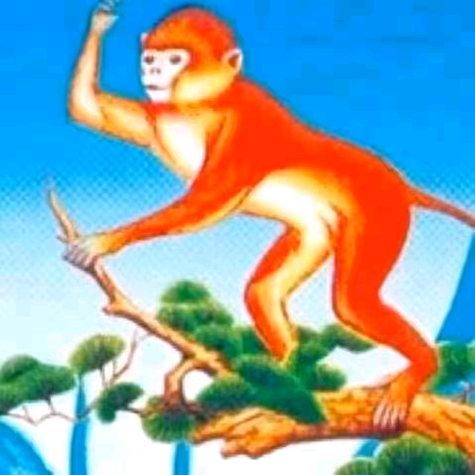 麦子