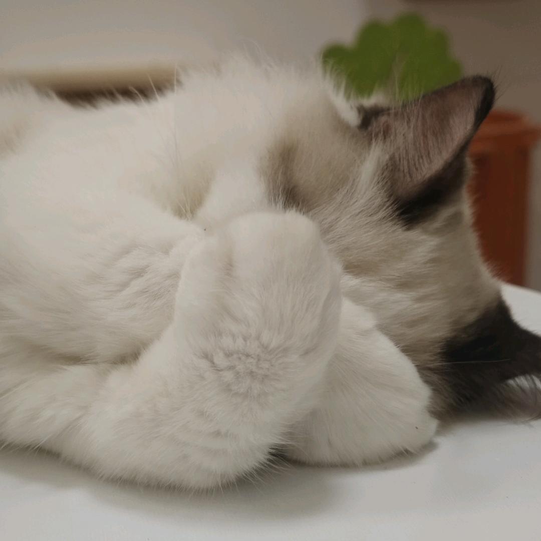 别说废话!
