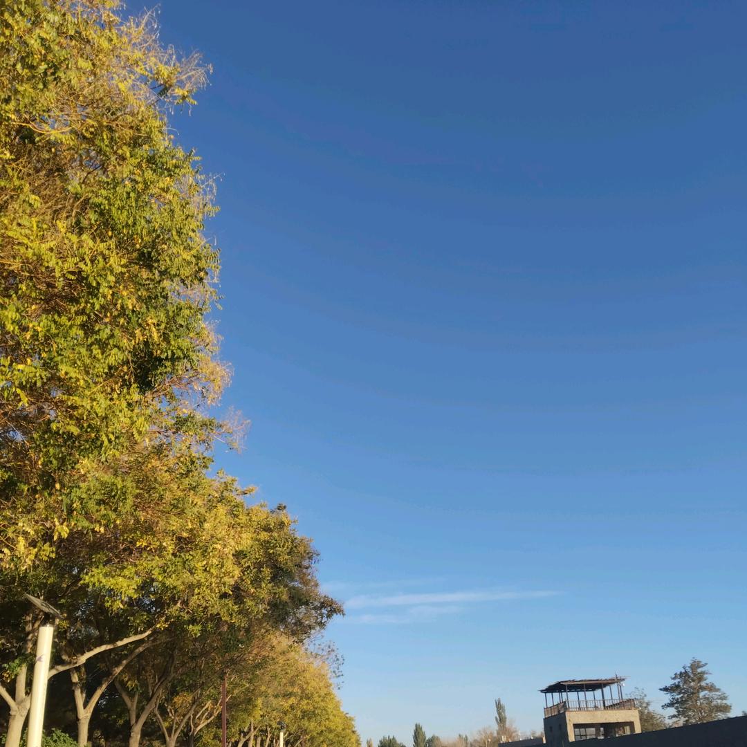 若将岁月开成花♥人生何处不芳华