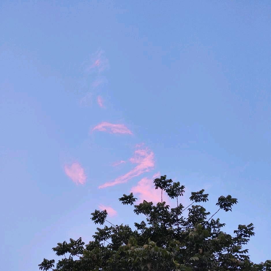 劉🐰