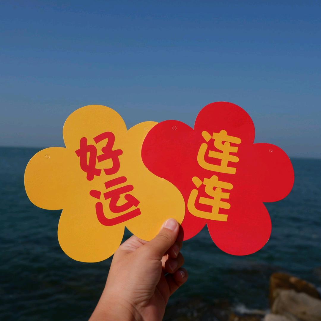 爱摄影的胖松