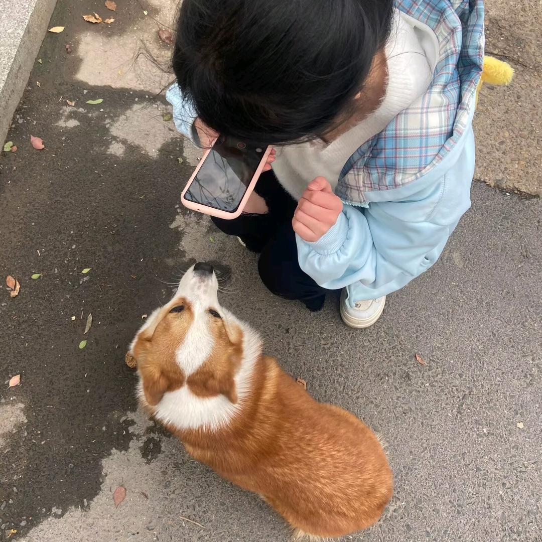 你猜