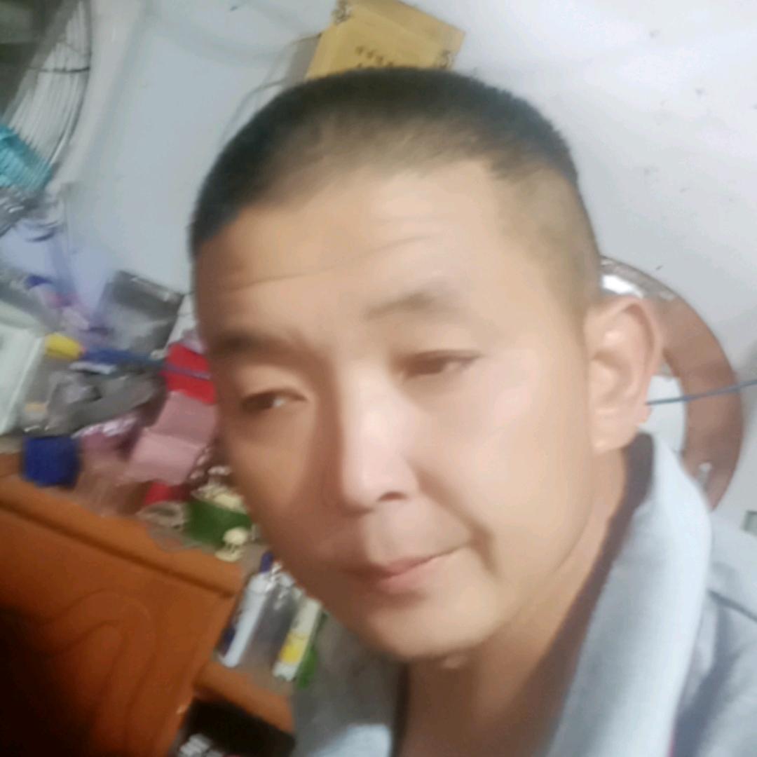 可爱猫