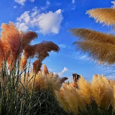 岁月无情催人老