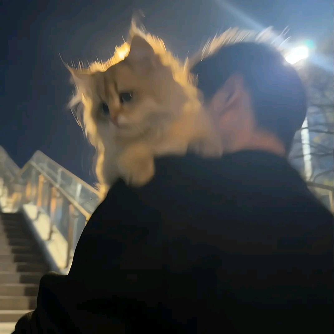 必有后福🎂