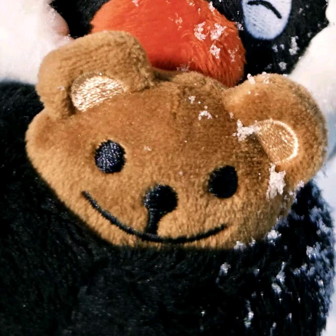 今天我在富士山